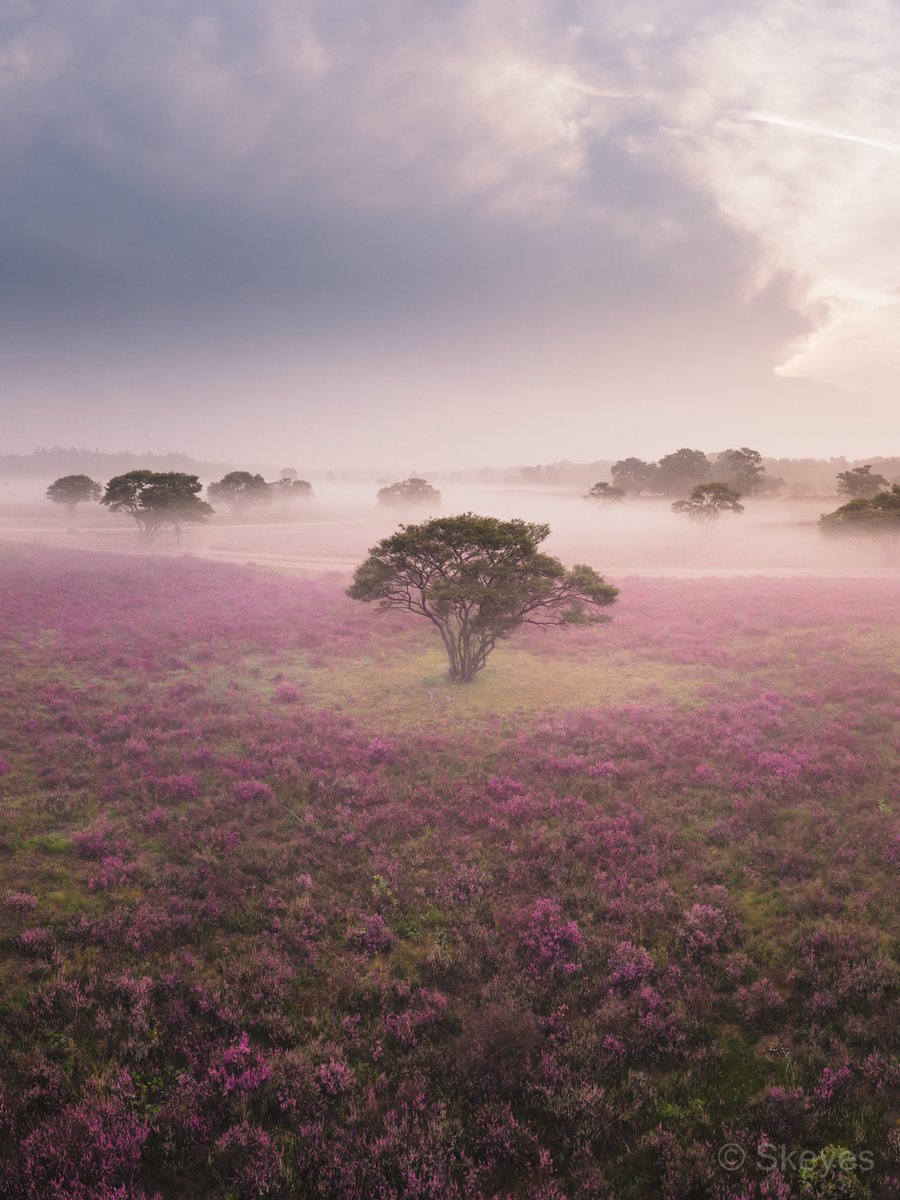 Gm fam!!

Purple Heather workshop this weekend! Excited!