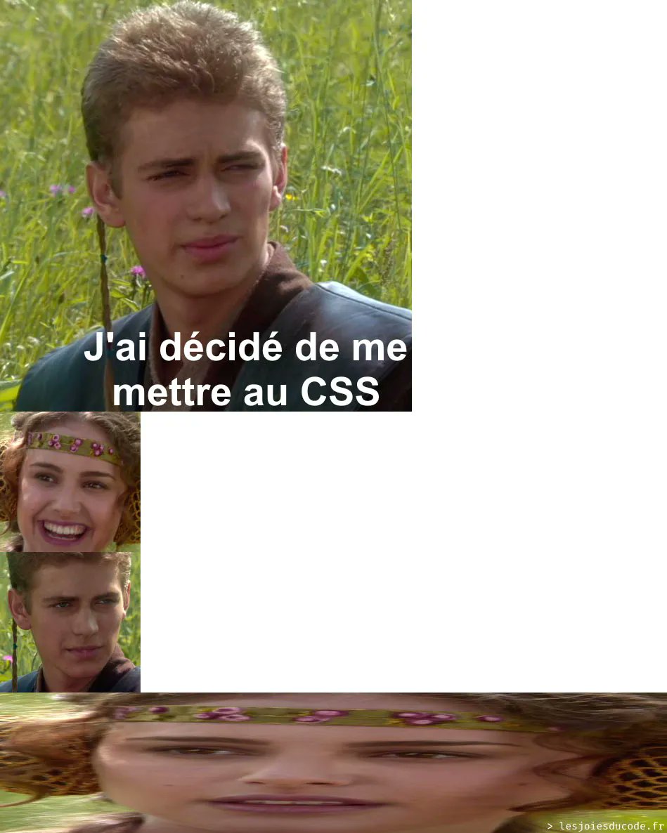 lesjoiesducode's tweet photo. Ah, le            CSS https://t.co/T3Kxz6lCXx https://t.co/MqtKQKTO7Y