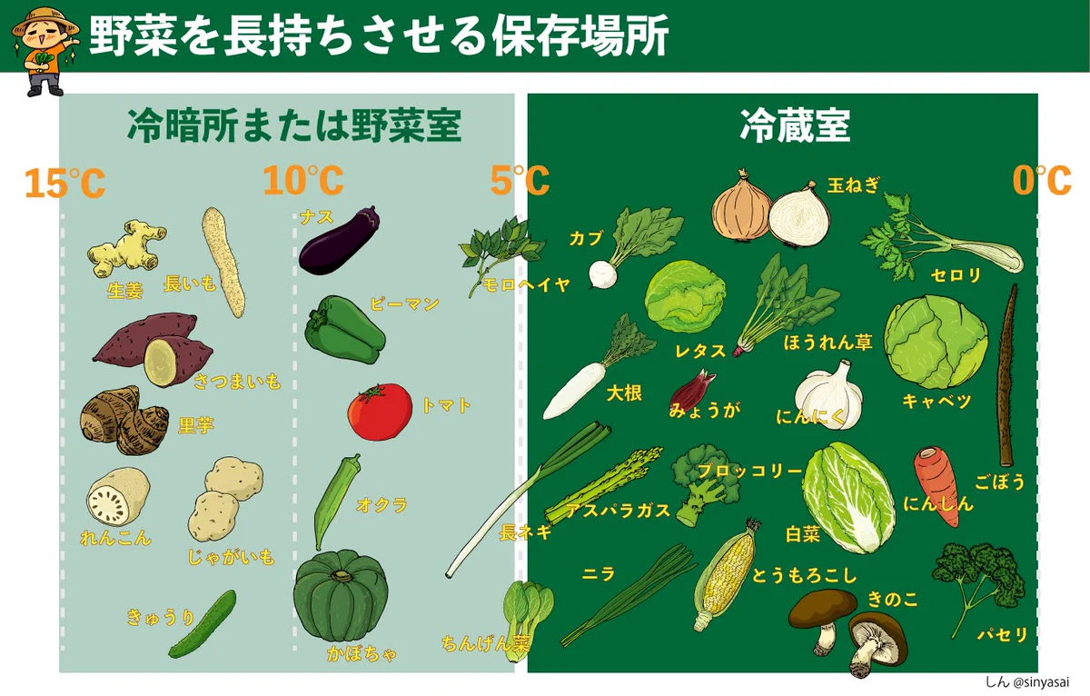 これは覚えておきたい！どの野菜をどこで保存すればいいのかが分かる画像が話題に！