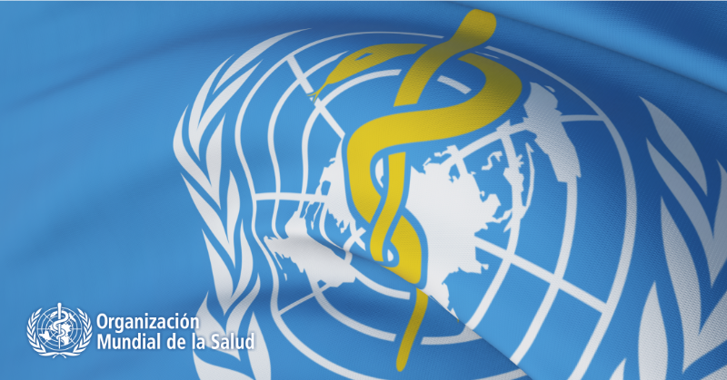 ConsejoCOLEF's tweet photo. 💼La Organización Mundial de la Salud (@WHO), y en concreto su Unidad de Actividad Física, busca una persona experta en AF y sedentarismo para trabajar en Ginebra apoyando el Plan mundial para aumentar la AF.

💵62.692 USD + variable 3.772 USD/mes.

⏰Fecha límite: 08/09/2022.