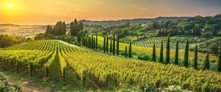 TeslaSpotlight0's tweet photo. Il cambiamento climatico influisce sulla vendemmia 2022
https://t.co/6qNDceBUVs
#Yeb #hellotaste #enogastronomia #Turismo #viaggi #vino #wine #enologi #sommelier #vendemmia #doc #clima #siccità #iniziative #riscaldamento #previsioni #stagione https://t.co/eadO6YsDPo