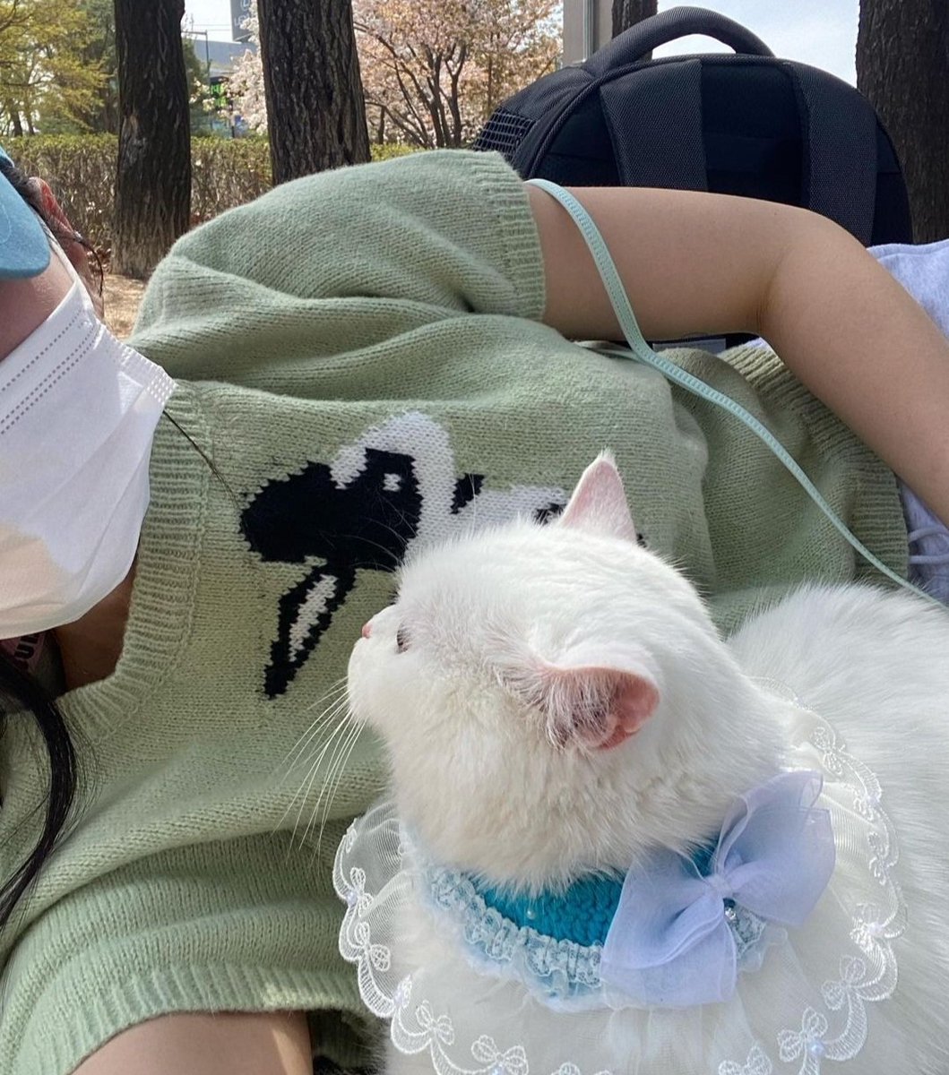 ⠀     
     @ meiulkti .    sns update !
     ⌕ Intramuros, MNL — 5:14 PM . 

⠀