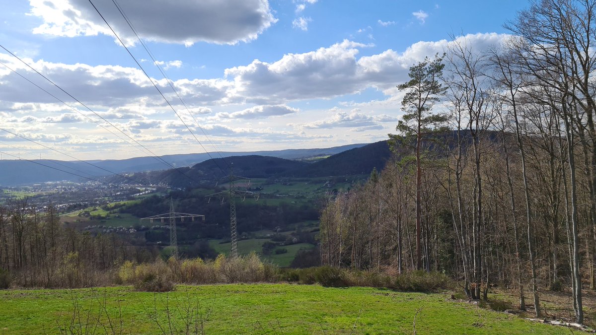 Have a great day #MUFC_FAMILY 

#countrylife 🌾🤠🏞