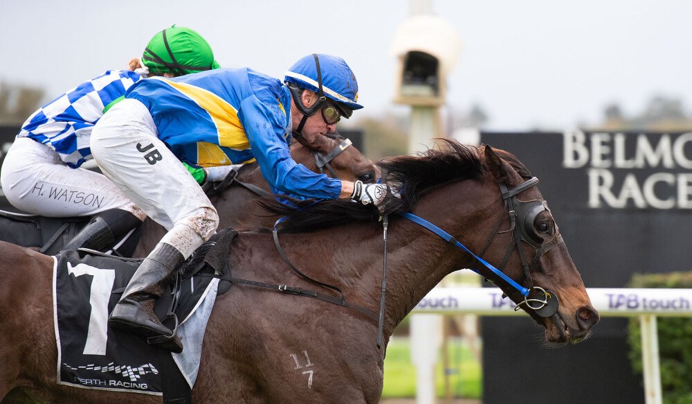 PerthRacing's tweet photo. Enticing (Jason Brown) Won R8 Byron Bay Premium Lager HCP at Belmont Park Racecourse on Wednesday 17 August 📸 @WesternRacepix https://t.co/wBkuwVVl84