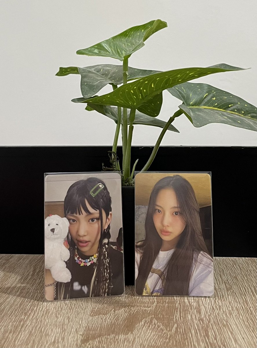 nwjnszzn's tweet photo. ꒰ 🧸 ꒱ came in the mail .ᐟ
🗯💌 … #mailszzn 🎀

i super super love my pulls >< thank you for the smooth and fast transaction po !

#1oveziproof @1ovezip https://t.co/88VgPADODq