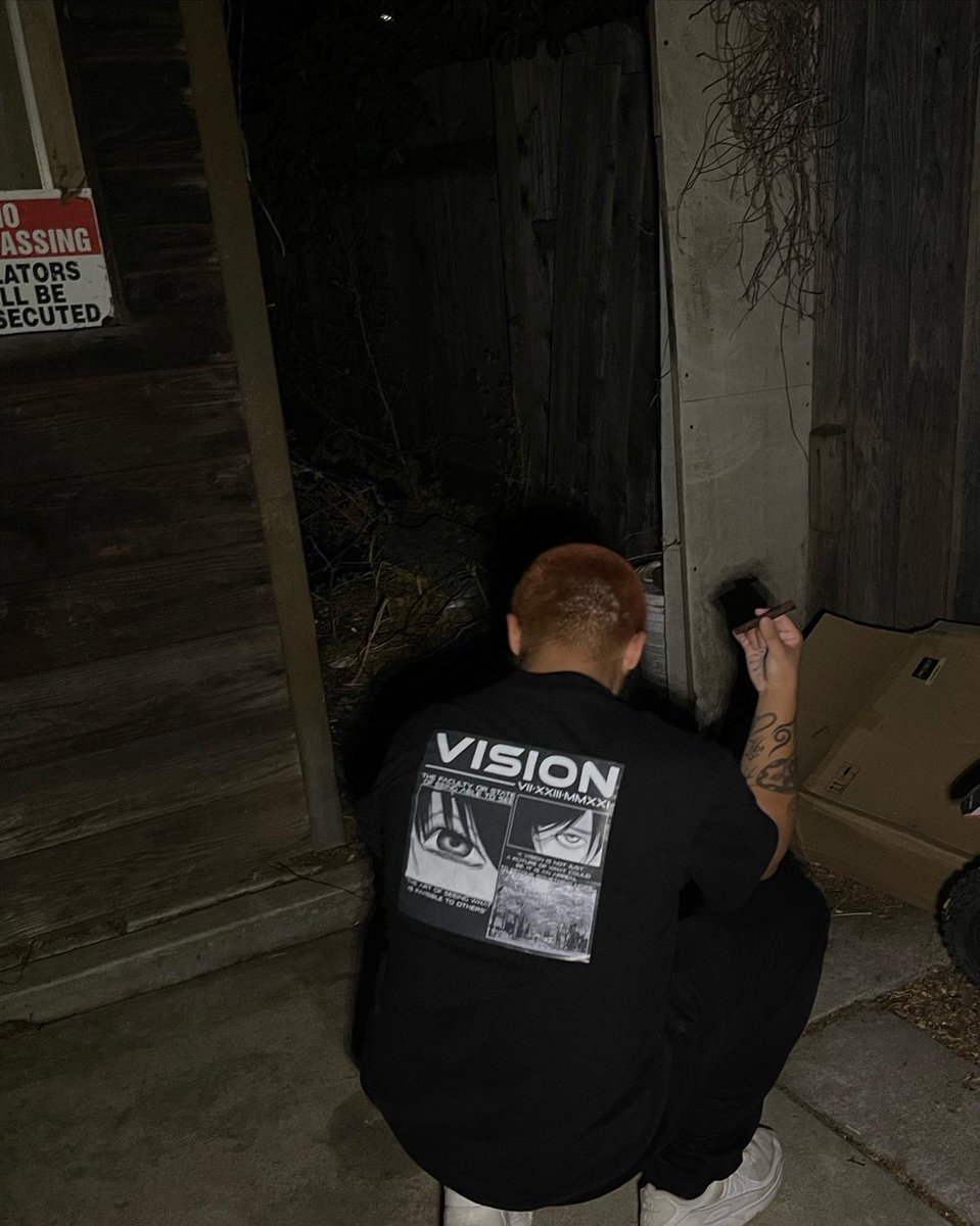 vision - the faculty or state of being able to see