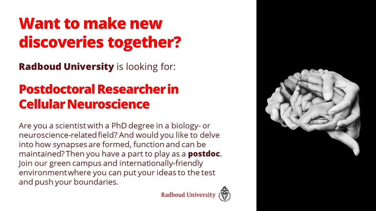 The advertisement for the Postdoc position we have is also out:
researchgate.net/job/973430_Pos…

#jebentnodig #postdoc #cellbiology #neuroscience