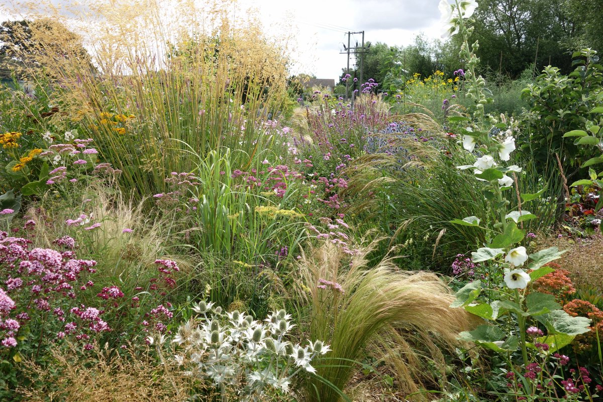 My allotment will be on TV again! It will feature in the new Channel <a href="/More4Tweets/">More4</a> series 'Garden of the Year', starting next Monday, 22 August, at 9pm channel4.com/programmes/gar… My allotment will be in episode 3 on Wednesday, 24 August.