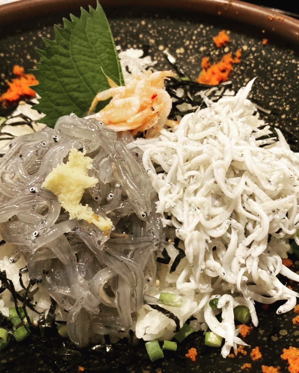 shippo0108's tweet photo. 江ノ島🥰
#生しらす
#海鮮丼
#美味しい
#夏休み
#食べる事大好き https://t.co/VKBFcuF7BS