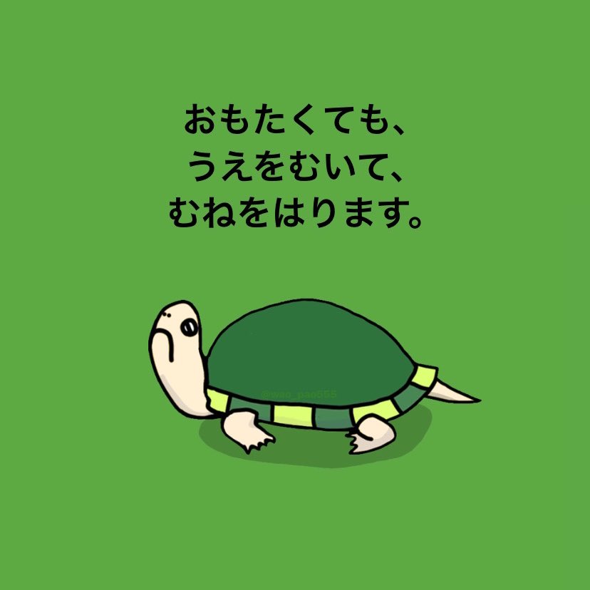 わお Wao Wao Pao555 Twitter わお Wao Wao Pao555 Twitter