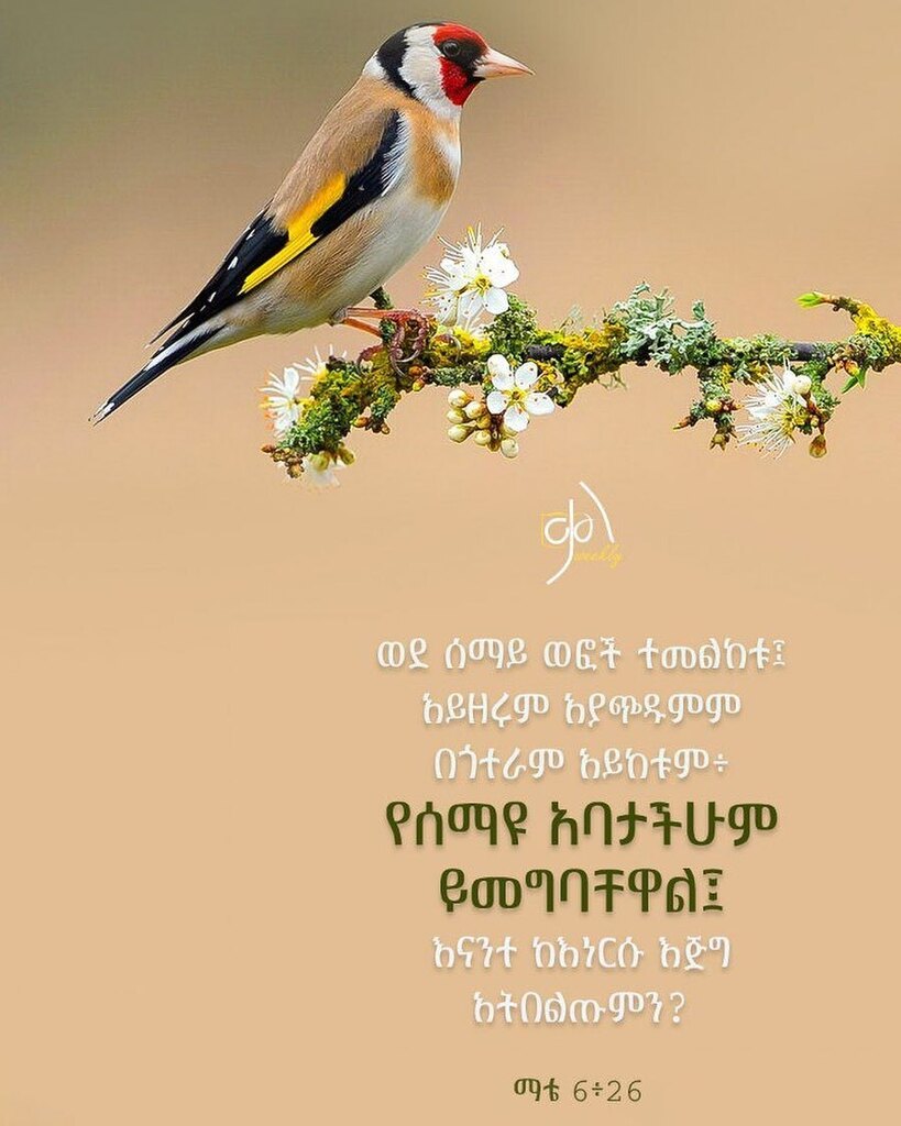AYBIBLECLUB's tweet photo. https://t.co/vhFWda8i7E https://t.co/urC4XKpb3N
