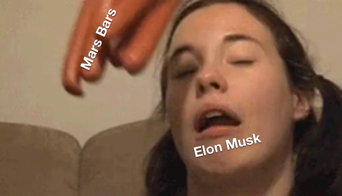 DogeMemeFactory's tweet photo. @elonmusk @Kristennetten @wonderofscience tomorrow https://t.co/mDpVVp4uOB