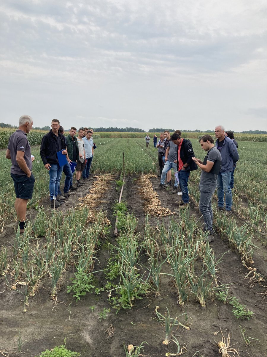 jan Theuws tweet media