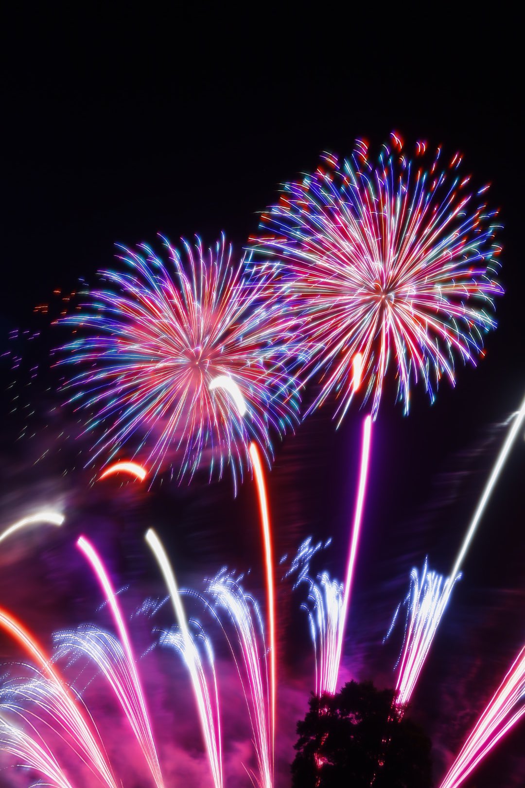 越前花火 Twitter Search Twitter