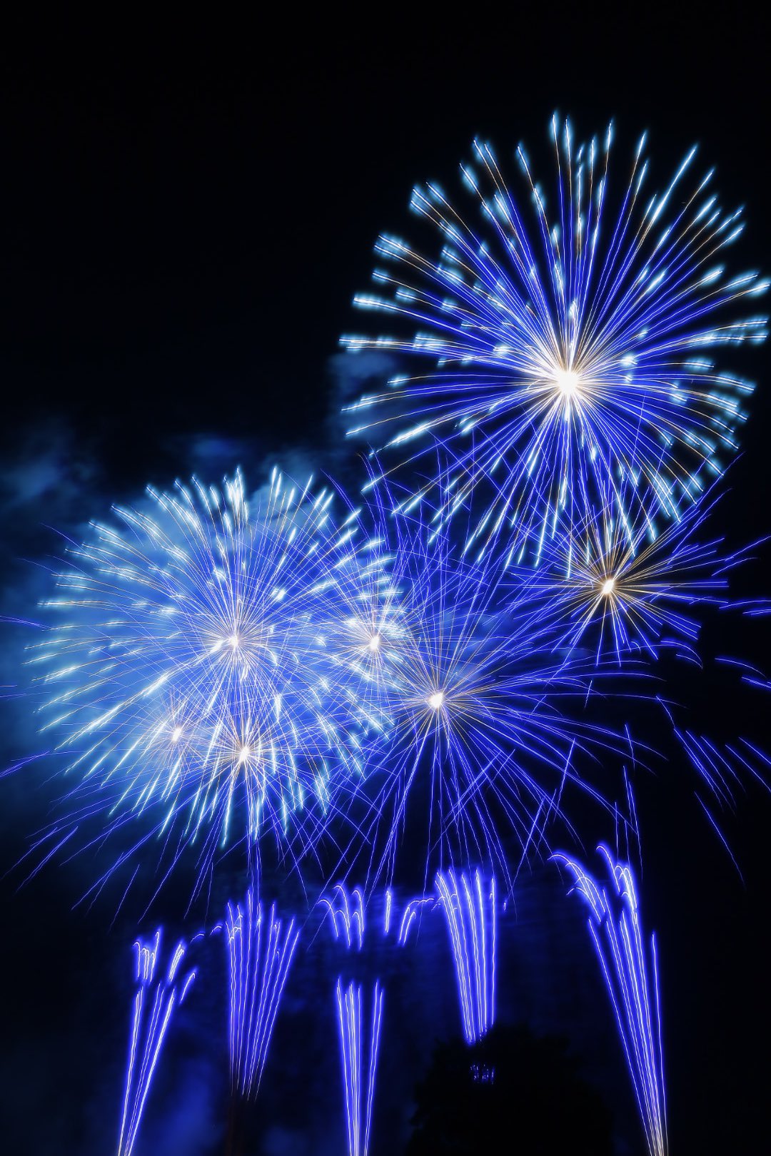 越前花火 Twitter Search Twitter