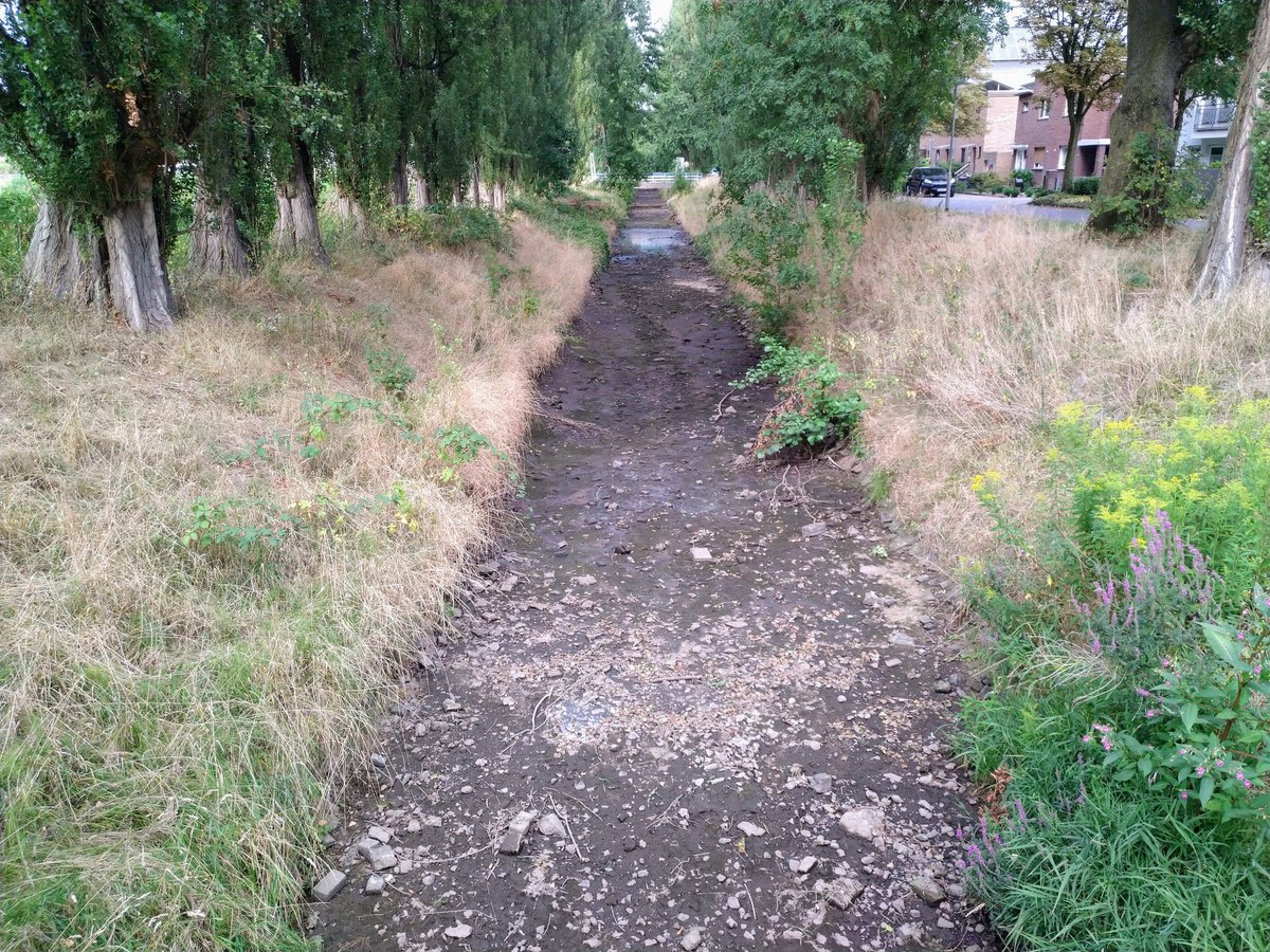 fotoaufnahme's tweet image. Der #Rotbach in Dinslaken im Kreis Wesel/#NRW zeigt sich schon wieder ausgetrocknet. Für die Pflanzen- und Tierwelt rund um das Gewässer eine Katastrophe. Zuvor ist der Bach im Jahr 2018 ausgetrocknet gewesen.