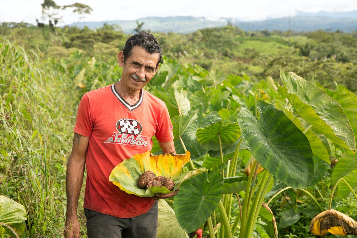 👏Remove👏barriers👏for small-scale farmers👏

It’s time to help small-scale farmers overcome the constraints that prevent them from accessing the resources and tools they need to thrive.