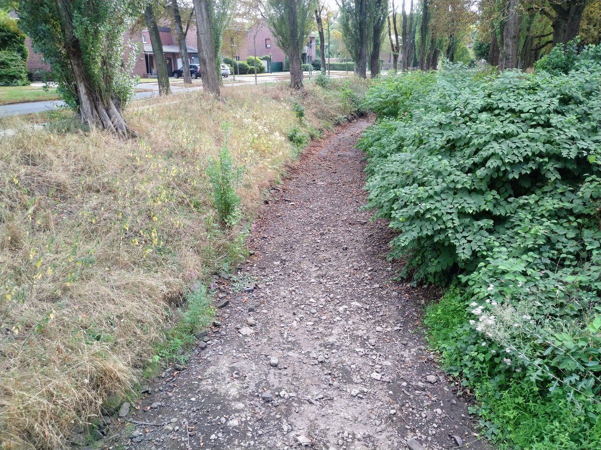 fotoaufnahme's tweet image. Der #Rotbach in Dinslaken im Kreis Wesel/#NRW zeigt sich schon wieder ausgetrocknet. Für die Pflanzen- und Tierwelt rund um das Gewässer eine Katastrophe. Zuvor ist der Bach im Jahr 2018 ausgetrocknet gewesen.