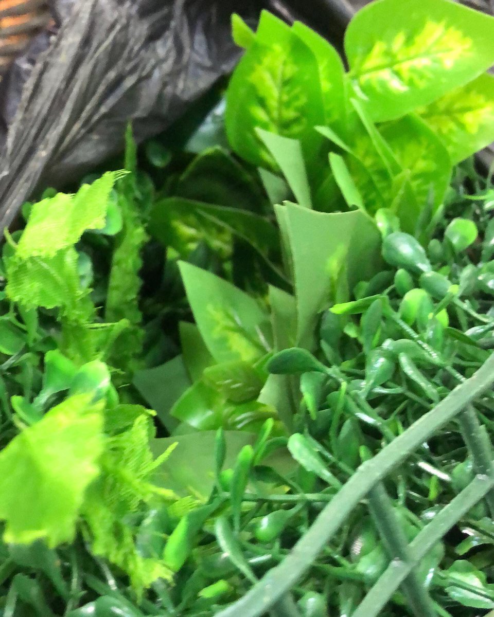 Pixxonwallpape's tweet photo. Grass for home , pet house , playground , showroom , offices etc https://t.co/4IqBV922Pi