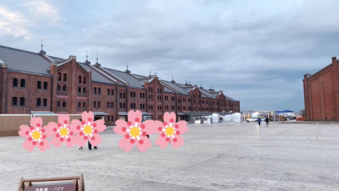 写真いっぱい 