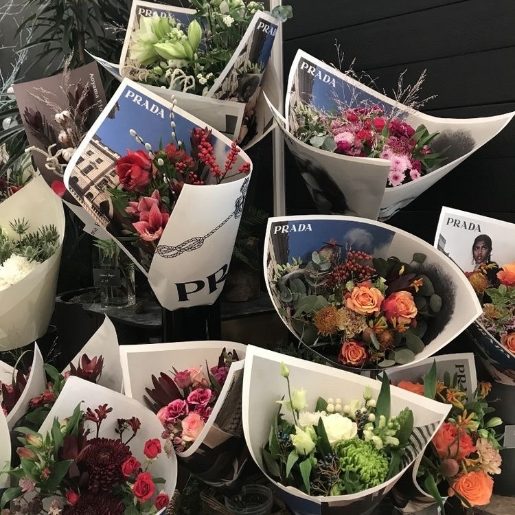 prettiestavenue's tweet photo. find me where the flowers are. https://t.co/VFjbjhirVM