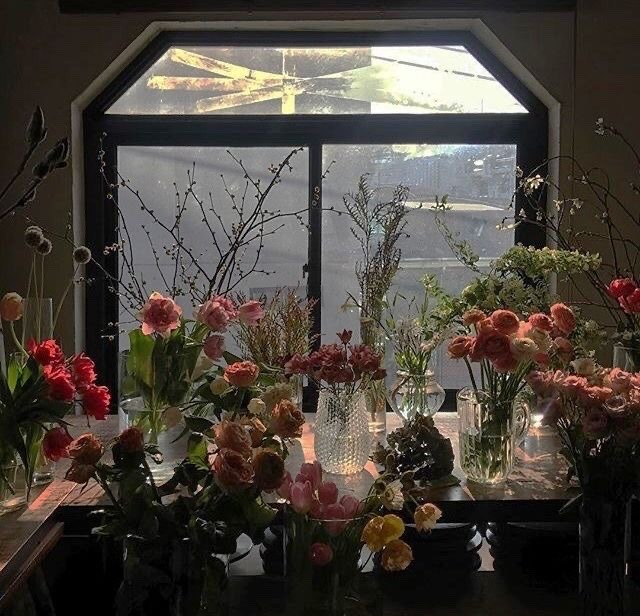 prettiestavenue's tweet photo. find me where the flowers are. https://t.co/VFjbjhirVM
