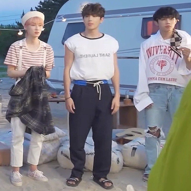 이재현 고구마강아지