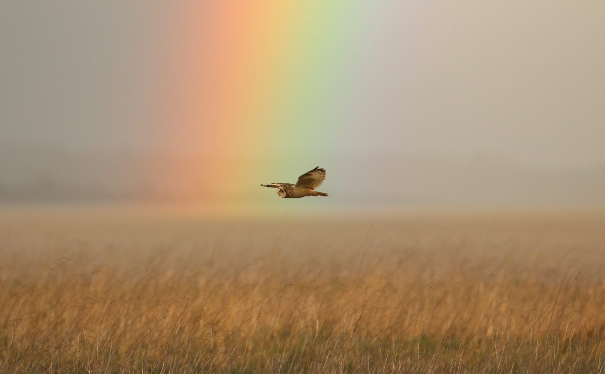 Unlocking the Severn tweet media