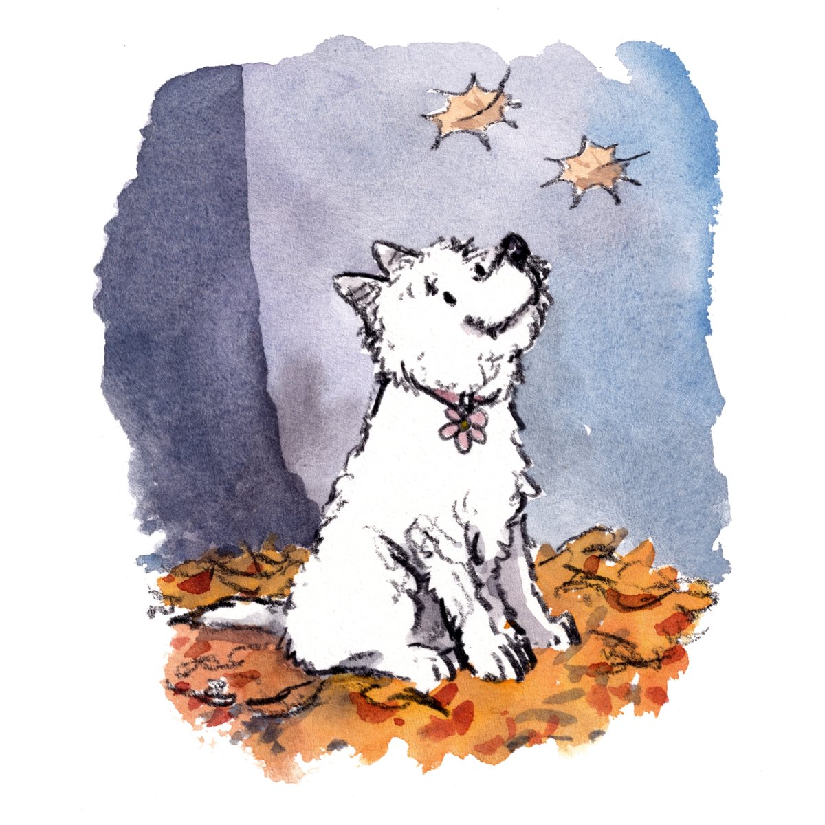 Hooray for westietude!! 
If I can tempt you with a set of Daisy's greetings cards, here is the link for you
…in-welch-art-and-design.myshopify.com/collections/gr…
I hope that your day is completely fab.
#hoorayfordogs #westie #Daisy