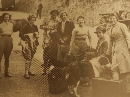 Daphne du Maurier tweet media