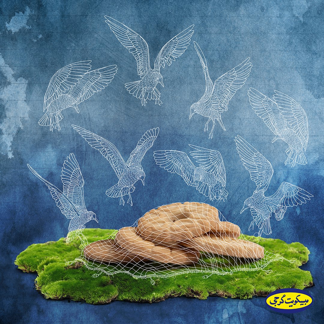 gorjico's tweet photo. 🦢چو مرغان آمده در دام صیاد
چو دانه پیش مرغان اوفتاده🦢

#سیف_فرغانی #شعروگرجی #بیسکویت_پذیرایی_گرجی https://t.co/MzIKFl0BIT
