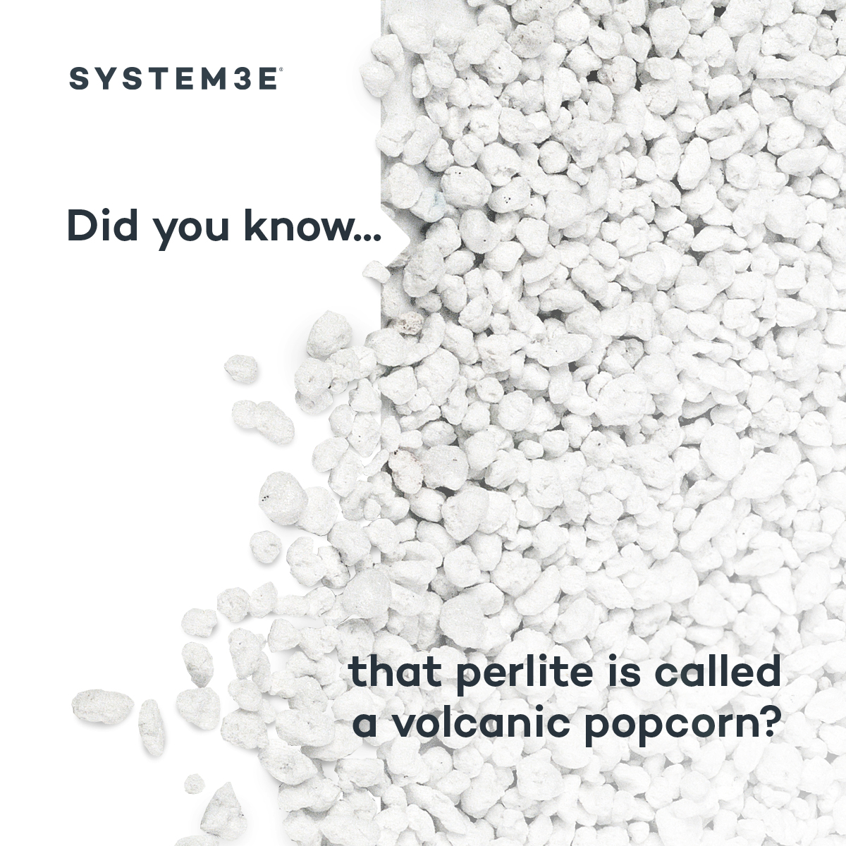 SYSTEM 3E tweet media