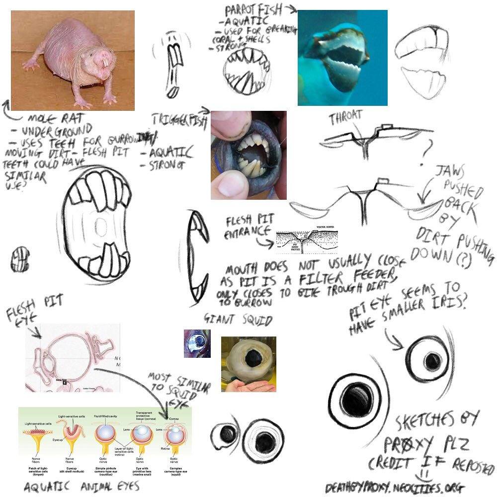 ErmehgerdProxy's tweet photo. Mystery Flesh Pit anatomy studies for a larger painting I plan on making
Mystery Flesh Pit National Park belongs to @MysteryPit 
#mfpnp #mysteryfleshpit #mysteryfleshpitnationalpark #speculativebiology #specbio #specev #conceptart https://t.co/l0Hm8x99L7