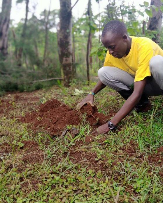 yfga_kenya's tweet photo. Ahead of our Machakos #project in October where we aim to plant 100,000 trees, we are conducting a one month tree #planting challenge by YGAK volunteers across the month of August. This is one of measures to increase the forest cover in Kenya  and reduce the #carbon #footprints https://t.co/G1aFgrpV6A