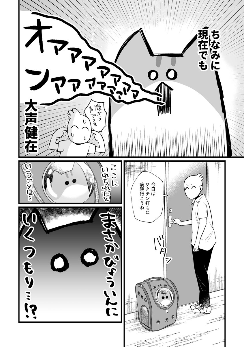 #秀さんの今日の猫日記
レオくんを引き取った当日のワタワタ話2/2 