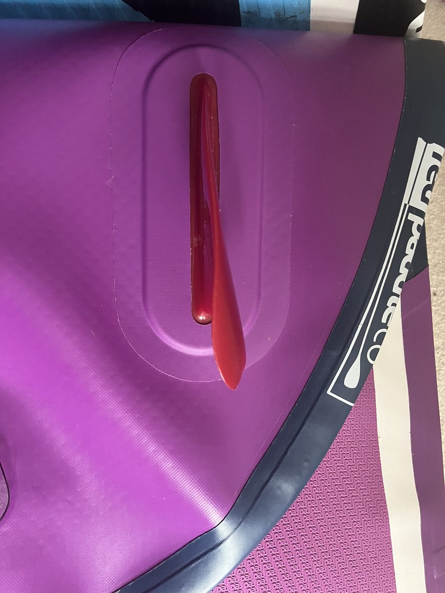 Susan Edge tweet media