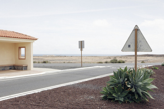 archillect's tweet image. 