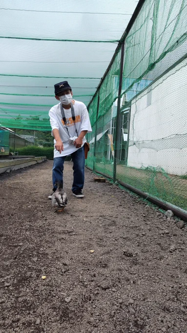 #お盆休みを写真4枚で振り返る 