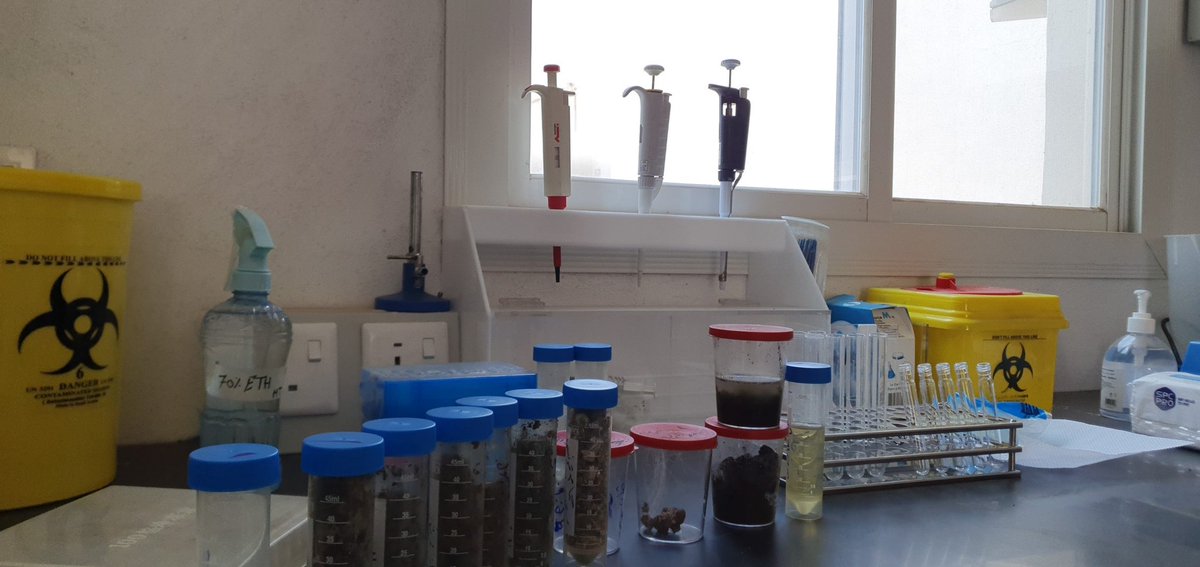 MThabet4's tweet image. Here we go!!

عملية انتقال الجينات الممرضة تختلف باختلاف العائل البكتيري و الفيروس المصاحب لها.. ودورنا يكمن في فهم هذه الطرق ومحاولة ايقافها من أجل حياة فطرية سليمة خالية من الأمراض...
Be healthy.
@Saudi_Phages #SaPIs #Bacteria #مختبرات_طبية #مختبر #جامعة #تجارب #طلاب #اكسبلورر