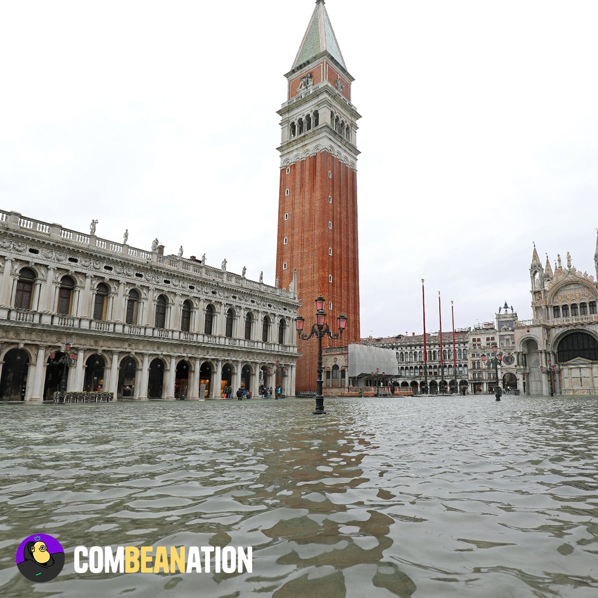 #Venice is so beautiful that it seems straight out of a fairy tale. But we also know that it is a city in danger. According to experts, the Mediterranean Sea will grow by 20 centimeters by 2050, and by 37/50 centimeters by 2100. So Venice could disappear.
#climatchange #nfts