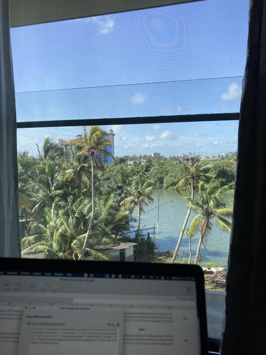 Post_Dogg's tweet photo. BRB inserting gene for coconut into this plasmid #cloningwithaview #snapgene https://t.co/SFeNZPzy4h