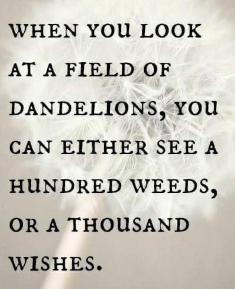 Thameside care home in West Molesey Anchor