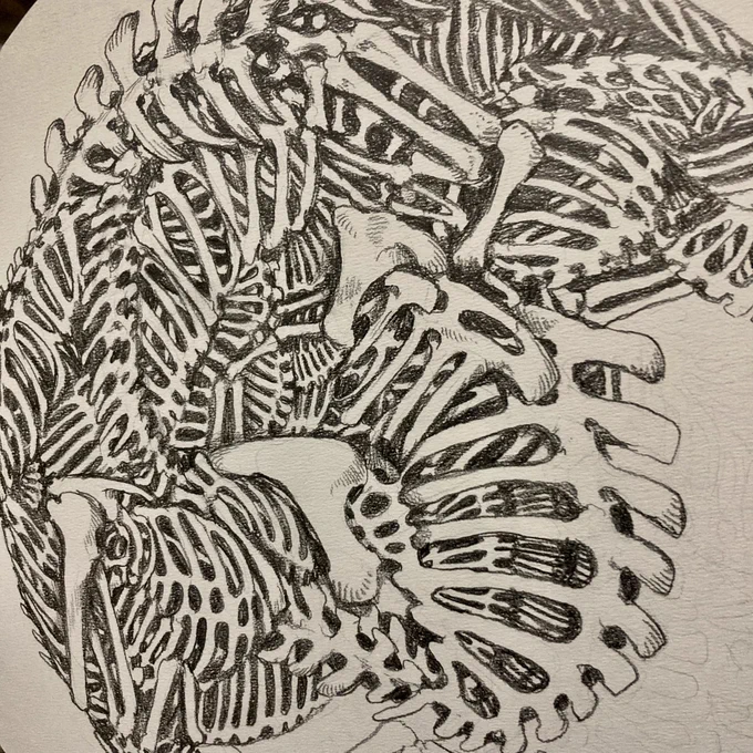 今度は骨いっぱいのやつをお絵描き* 