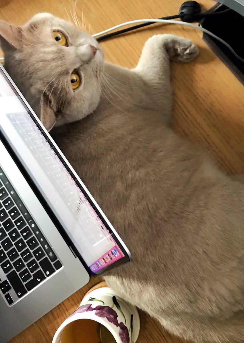 Eva Dage_ tweet media