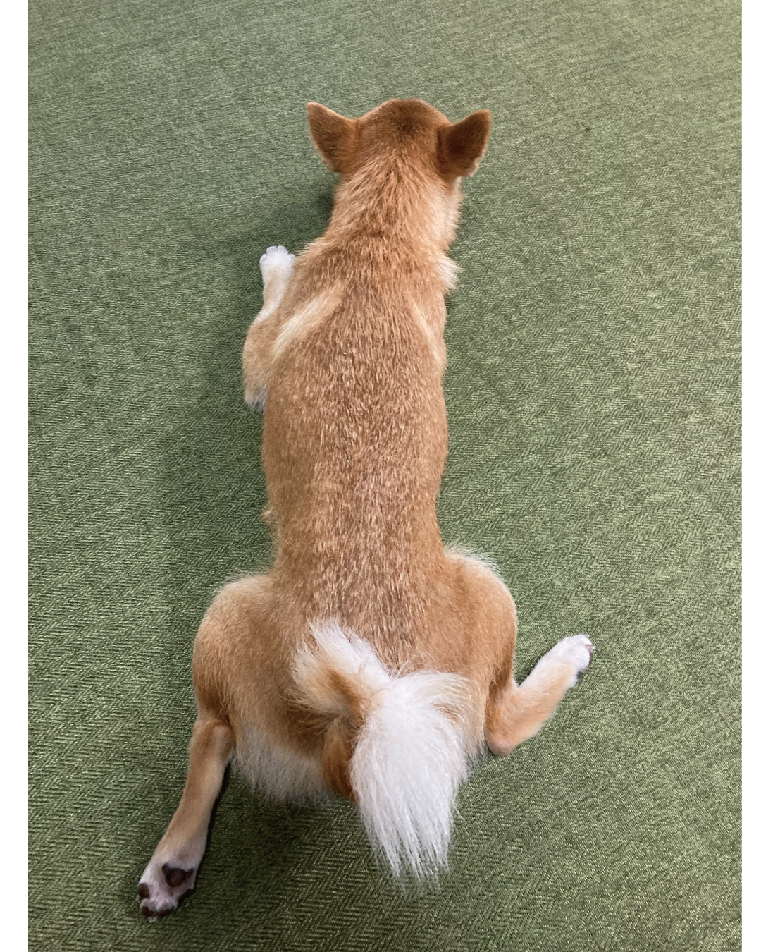 のりちゃん Norimaruyo Twitter