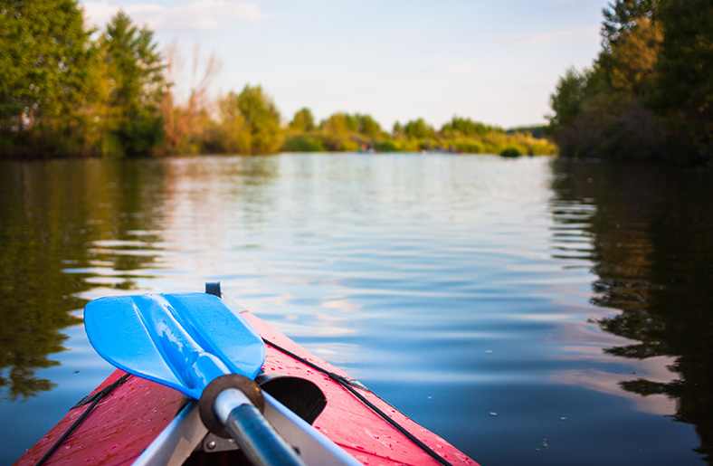 Kayak Prices: How Much Does a Kayak Cost? All You Need to Know

boatingbeast.com/kayak-price/