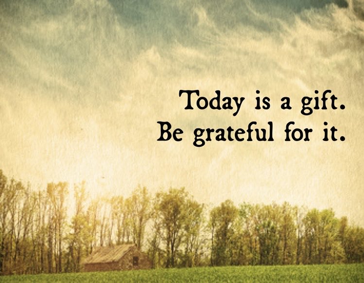 lyonsden28's tweet photo. #EverythingIsAGift #HappyWednesday https://t.co/C4yo66rRps