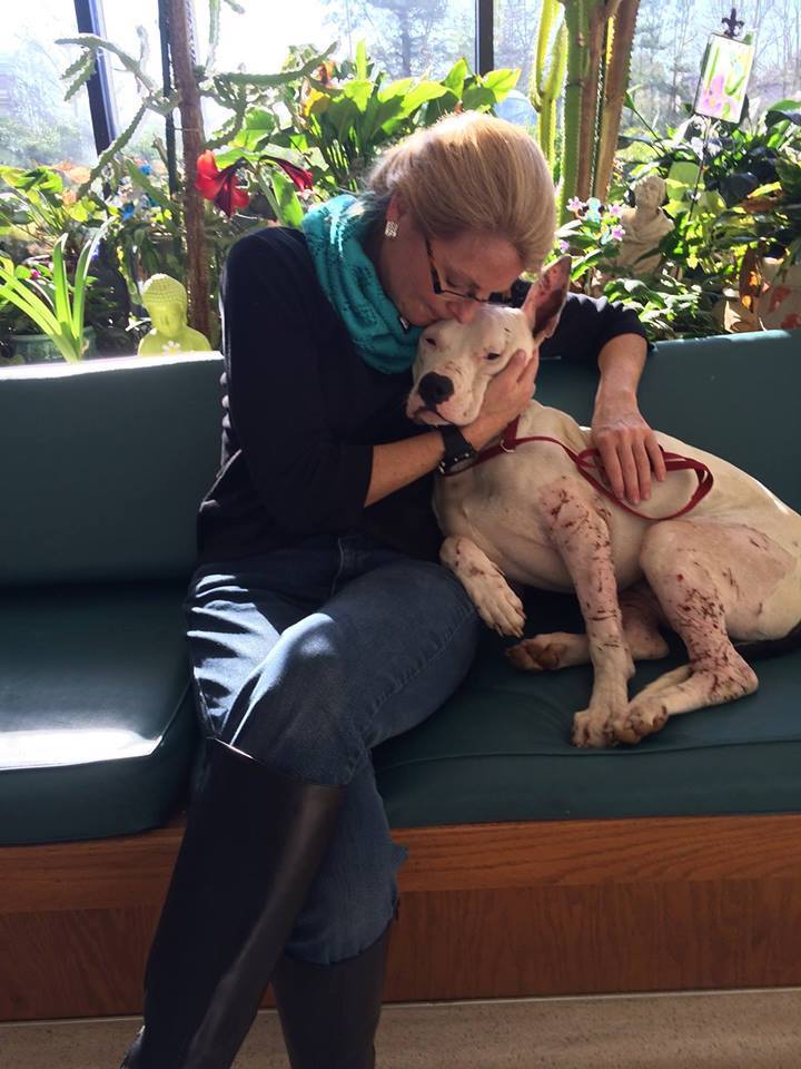 #NationalNonprofitDay is possible because of YOU! Thank you to each volunteer, donor, and supporter who believes in our mission and advocates just as strongly as we do for pit bulls and veterans. 💚