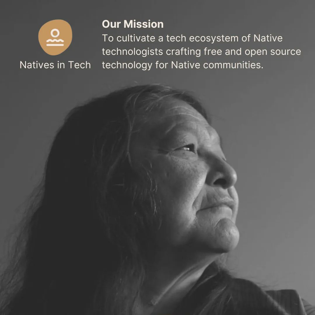 Natives in Tech (@nativesintech) on Twitter photo 