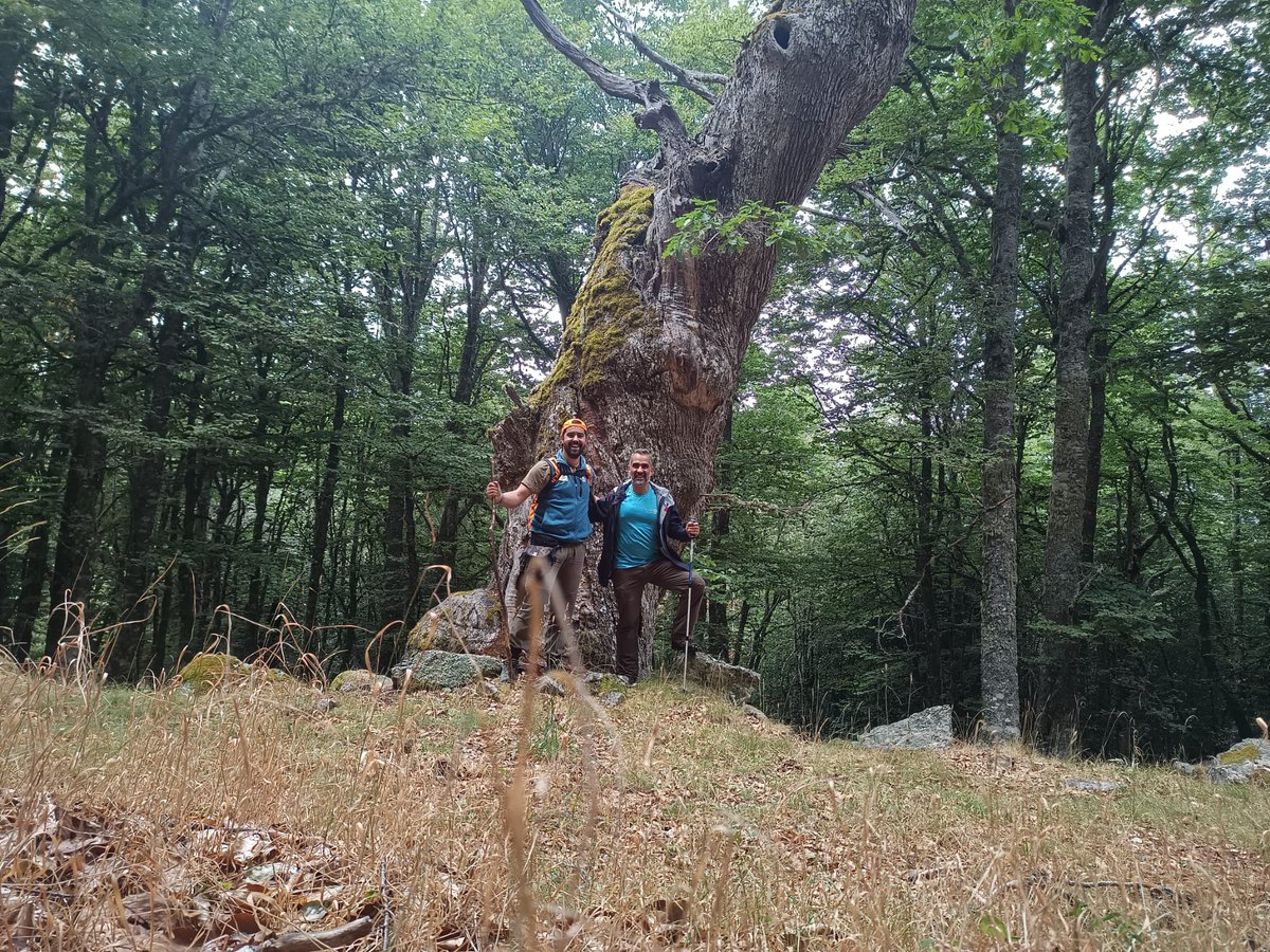 Orgullosos de nuestro #equipo. Descubriendo los rincones de #LaPernia para gestionar sus #montes y sacar la mayor #rentabilidad #medioambiental
#social y #económica de #lamontañapalentina Gracias chicos!!!